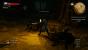 Die Riesenspinnen zählen zu den wenigen neuen Gegnertypen in The Witcher 3: Hearts of Stone.