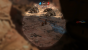 Ab und an laufen uns im Jawa-Camp Jawas vor die Linse. Solche netten Details stärken die Atmosphäre.