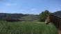 Kingdom Come: Deliverance, Beta - Die Weitsicht im Spiel ist enorm. Die am Horizont erkennbare Mühle auf dem Hügel lässt sich tatsächlich aufsuchen.