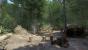Kingdom Come: Deliverance, Beta - Verstecktes Waldlager