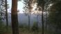 Kingdom Come: Deliverance, Beta - Unterwegs beim Waldspaziergang