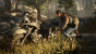 Days Gone in der E3-Vorschau. (7)