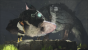 The Last Guardian in der E3-Vorschau. (2)