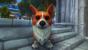 World of Warcraft wird 12. (1)