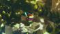 Tunic - Screenshots aus dem E3-Trailer (1)