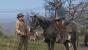 Red Dead Redemption 2 - Alle zehn Felsschnitzereien finden - Tipps im Video-Guide