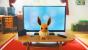 Pokémon: Let's Go!<strong> </strong>- ein Verrat an den Fans? (Kolumne)