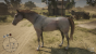 RDR2 Tipp: So erhaltet ihr die besten Pferde.