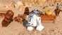 LEGO Star Wars: The Skywalker Saga in der E3-Vorschau. (5)