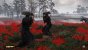 Der Kontrast zwischen Natur und Gewalt wird in Ghost of Tsushima sehr schön in Duellen zwischen Blumen oder Bäumen dargestellt.