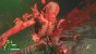 Doom Eternal: The Ancient Gods - Part One im Test