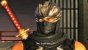 Ninja Gaiden