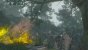 The Witcher 4: 10 Dinge, die der Titel besser machen muss als Teil 3
