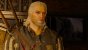 Geralt von Riva - Der Held wider Willen - Charakter-Special (1)