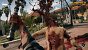 Dead Island 2 im Test (PS5-Version)