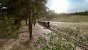 Railway Empire 2 im Test. (3)