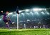 <strong>Football Manager: Spielerzahlen gehen durch die Decke - dank Netflix, Apple und Co.</strong>