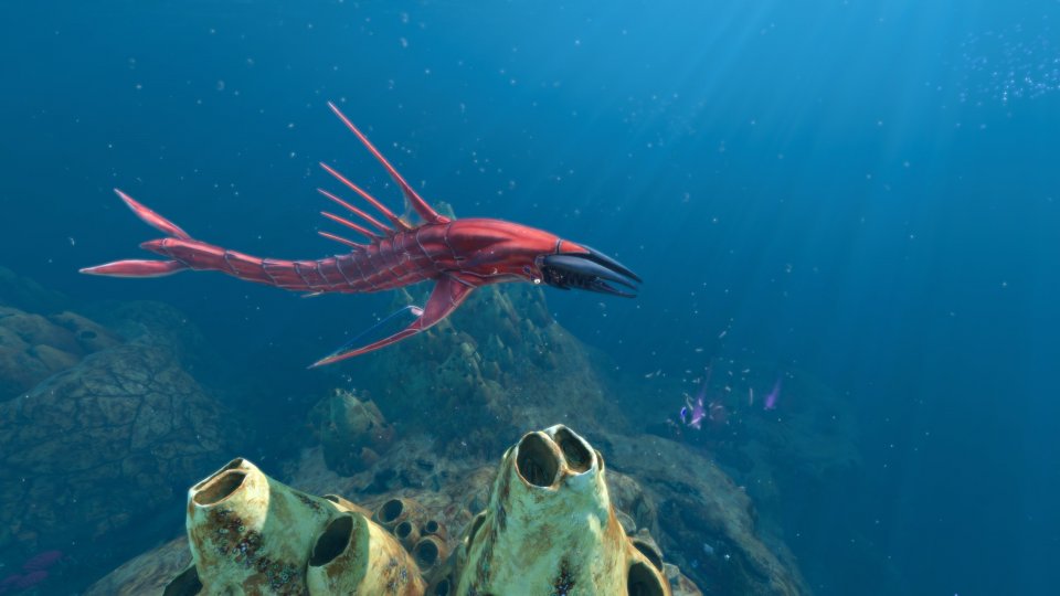 Leviathan - Chelicephalus