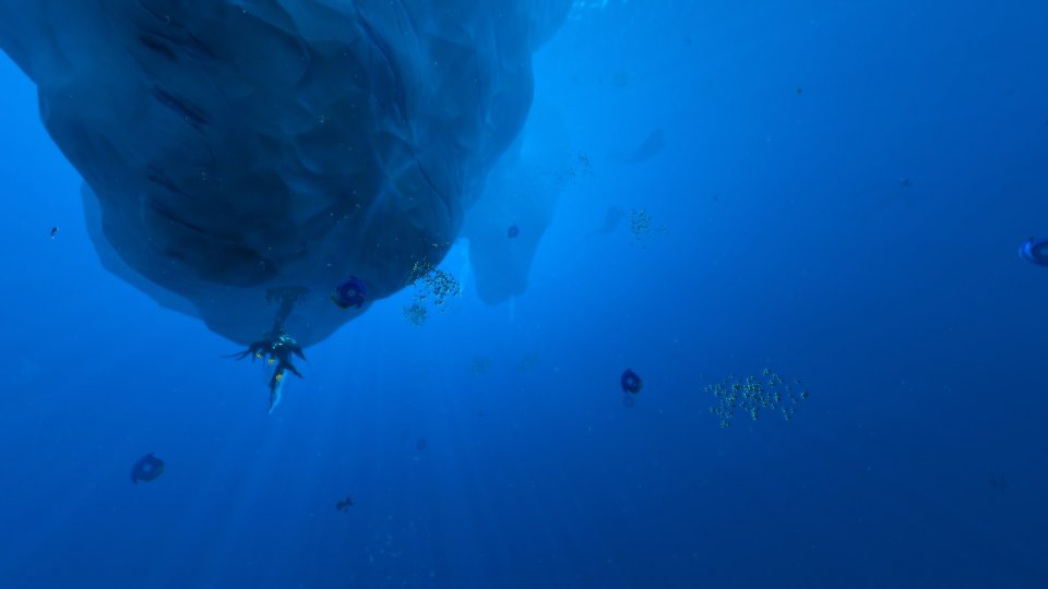 Deep Arctic
